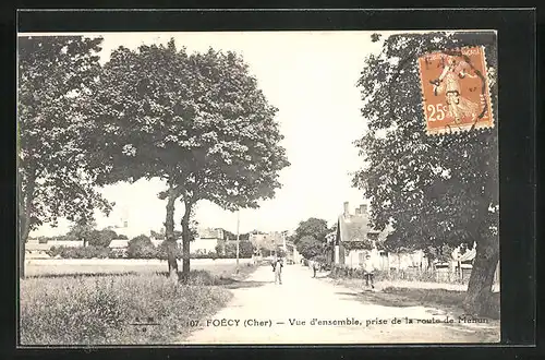 AK Foécy, Vue d`ensemble prise de la route de Mehun