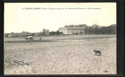AK Chezal-Benoit, Colonie familiale de l`Assistance publique, Vue d`ensemble