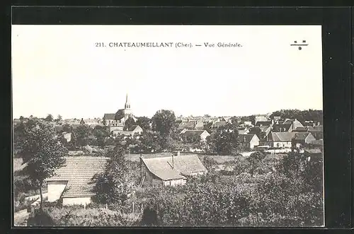 AK Châteaumeillant, Vue Générale