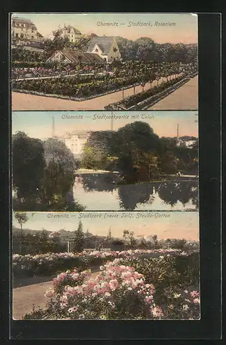 AK Chemnitz, Stadtpark Rosarium, Stadtpark mit Teich, Staude-Garten