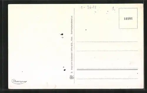 AK Meerane i. Sa., Bismarckplatz mit Geschäften und Denkmal