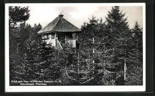 AK Neu-Afrika b. Templin, Waldlandschaft mit Storchennest