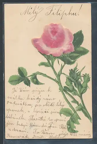 Stoff-Präge-AK Blühende Rose