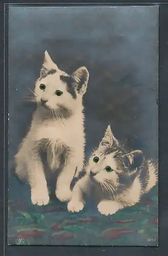 Glasaugen-AK Kätzchen mit Glasaugen