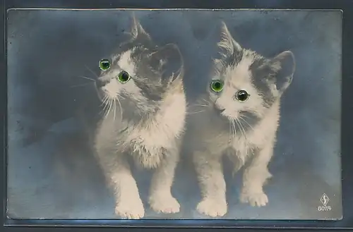 Glasaugen-AK Kätzchen mit Glasaugen