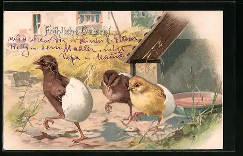 Lithographie Osterküken schlüpfen aus ihren Eiern