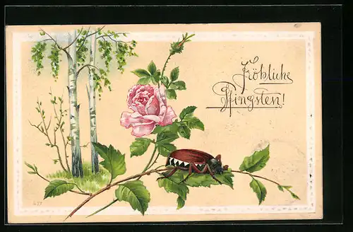 Präge-AK Maikäfer auf Zweig mit Rose, Pfingstgruss