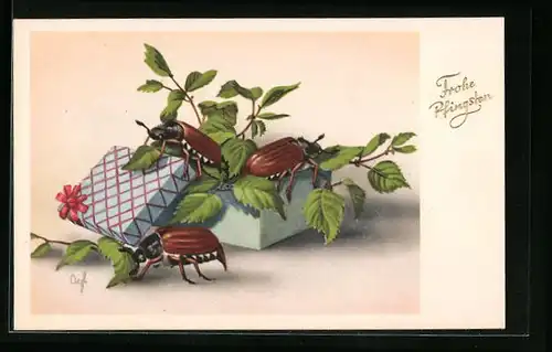 AK Drei Maikäfer an einer Schachtel mit Zweigen, Pfingstgruss