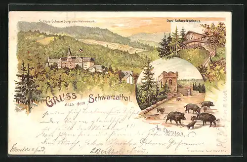 Lithographie Schwarzathal, Schloss Schwarzburg, Schweizerhaus, Am Eberstein