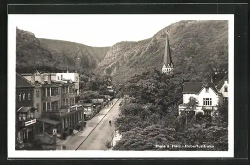 AK Thale a. Harz, Hubertusstrasse aus der Vogelschau