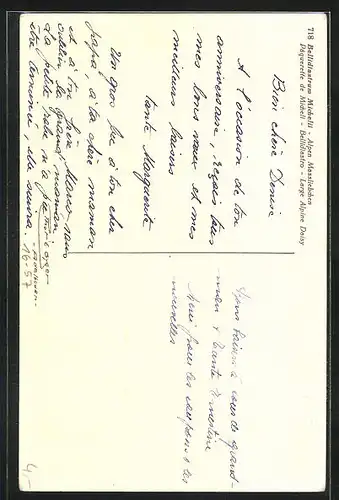 Foto-AK Emanuel Gyger: Alpen Massliebchen