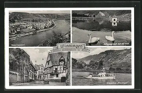 AK Winningen / Mosel, Gesamtansicht, Weinhexenbrunnen, Schwanenteich auf der Insel, Wasserbus Winningen