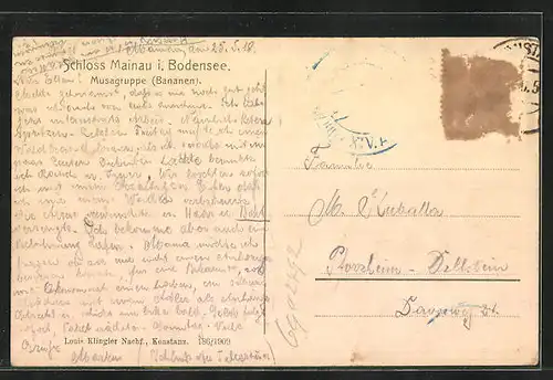 AK Mainau, Schloss, Musagruppe (Bananen)