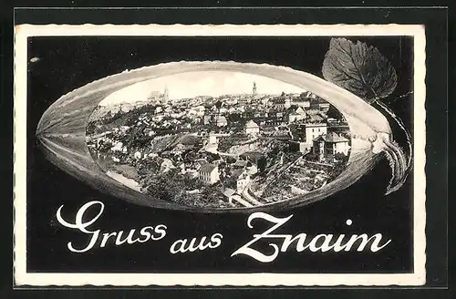 AK Znaim a. d. Thaya, Ortsansicht in einer Frucht