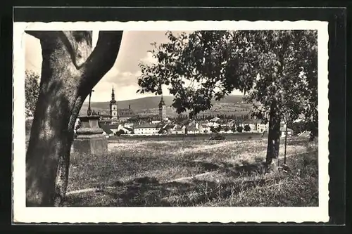 AK Wischau / Vyskov, Gesamtansicht