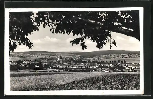 AK Wischau / Vyskov, Celkový pohled