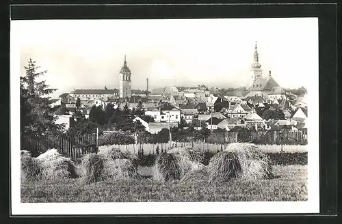 AK Wischau / Vyskov, Celkový pohled