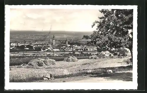 AK Wischau / Vyskov, Celkový pohled