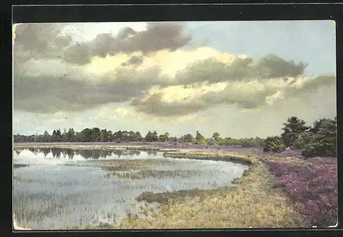 Künstler-AK Photochromie Nr.2493: Partie am See