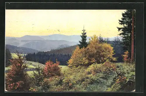 Künstler-AK Photochromie Nr.2557: Panoramaansicht einer Landschaft