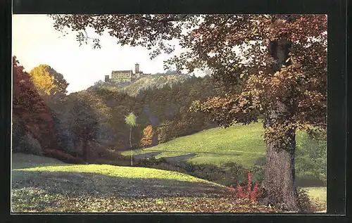 Künstler-AK Photochromie Nr.2556: Blick aus der Ferne zur Burg