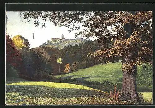 Künstler-AK Photochromie Nr.2556: Blick aus der Ferne zur Burg