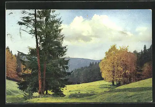Künstler-AK Photochromie Nr.2564: Bergiges Landschaftsbild