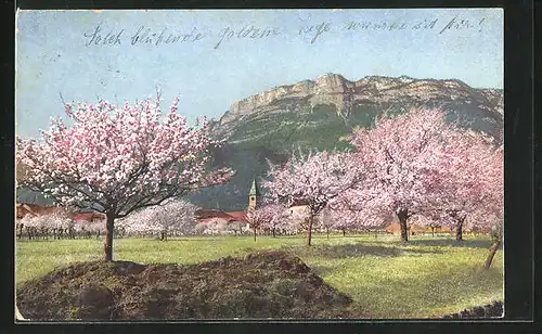 Künstler-AK Photochromie Nr.2700: Obstblüte in Tirol