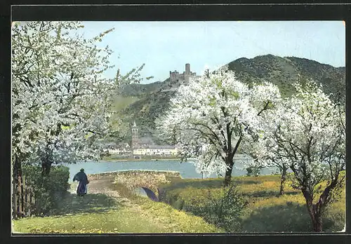 Künstler-AK Photochromie Nr.2436: Blühende Bäume mit Blick zur Burg