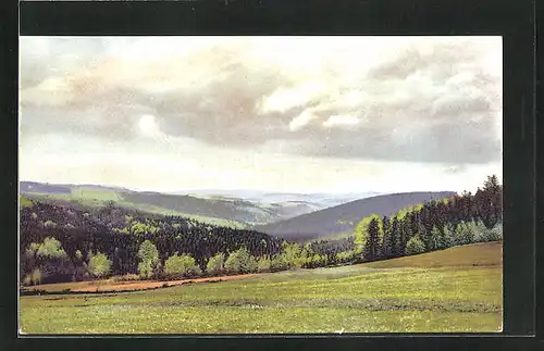 Künstler-AK Photochromie Nr.: Frühlingsstimmung am Geisingberg