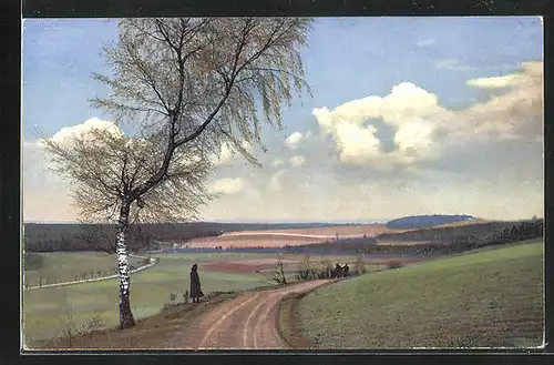 Künstler-AK Photochromie Nr.2738: Panoramaansicht in der Landschaft