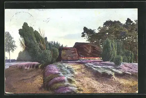 Künstler-AK Photochromie Nr.2482: Parkpartie mit Felsen und Blumenrabatten