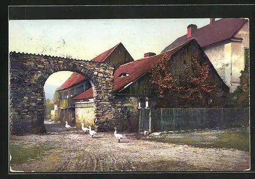 Künstler-AK Photochromie Nr.2521: Ortspartie mit Gänsen