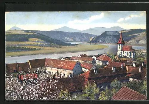 Künstler-AK Photochromie Nr.2508: Ortsansicht mit Umgebung