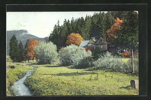 Künstler-AK Photochromie Nr.2552: Wohngebäude im Wald, im Vordergrund ein Bach