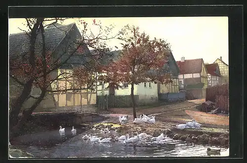 Künstler-AK Photochromie Nr.2551: Ortspartie mit Ententeich