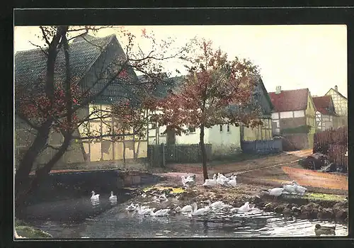 Künstler-AK Photochromie Nr.2551: Ortspartie mit Ententeich