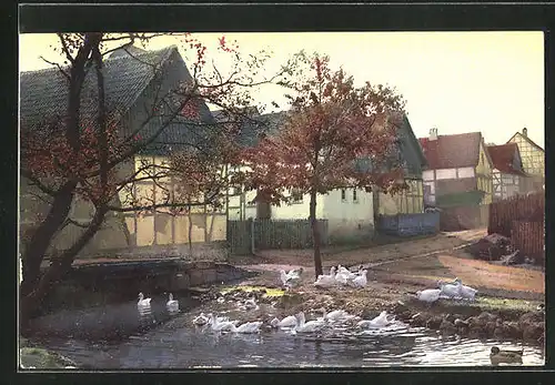 Künstler-AK Photochromie Nr.2551: Ortspartie mit Ententeich