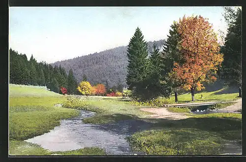 Künstler-AK Photochromie Nr.2546: Landschaftsbild mit Bach