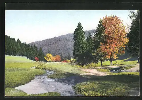 Künstler-AK Photochromie Nr.2546: Landschaftsbild mit Bach