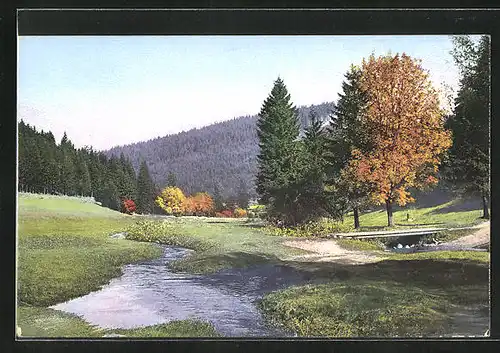 Künstler-AK Photochromie Nr.2546: Landschaftsbild mit Bach