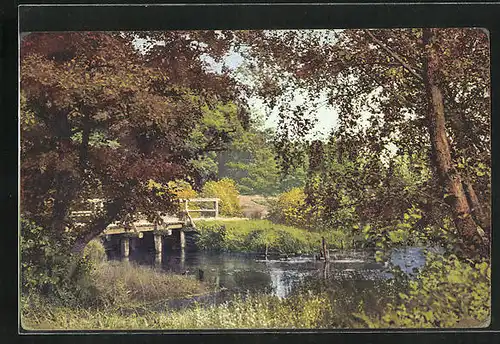 Künstler-AK Photochromie Nr.3117: Brücke über einen Bach am Waldrand
