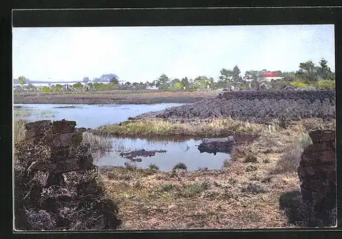 Künstler-AK Photochromie Nr.3106: Landschaftsbild an einem See