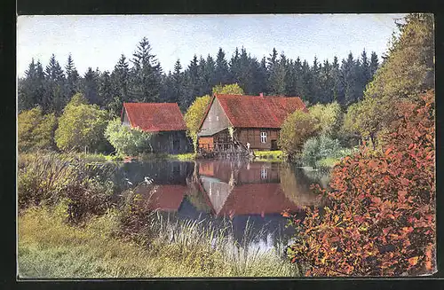 Künstler-AK Photochromie Nr.3105: Gehöft an einem See