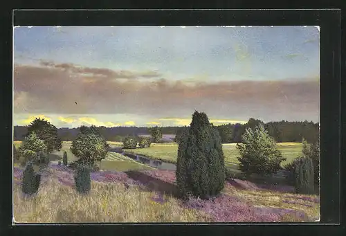 Künstler-AK Photochromie Nr.2467: Landschaftsbild mit Bäumen welche einen Bach säumen