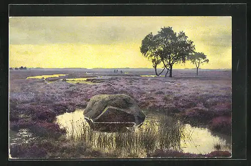 Künstler-AK Photochromie Nr.2463: Sumpfige Landschaft