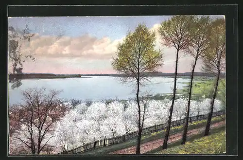 Künstler-AK Photochromie Nr.2453: Blick über blühende Bäume zum See