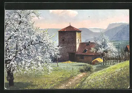 Künstler-AK Photochromie Nr.2697: Obstblüte in Tirol