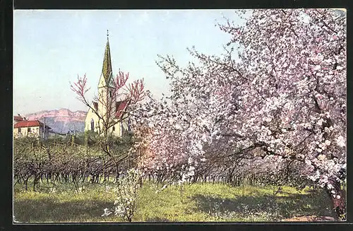 Künstler-AK Photochromie Nr.2698: Obstblüte in Tirol