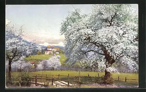 Künstler-AK Photochromie Nr.2695: Obstblüte in Tirol